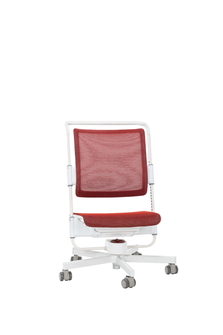 C350-SHANYE chair